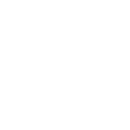 Motion Graphics
