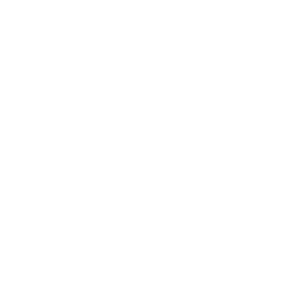Marketing Audit