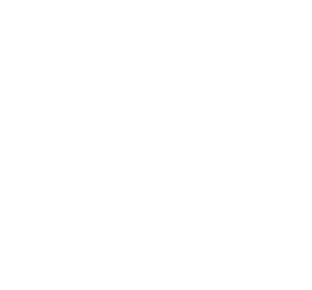 Growth Strategy