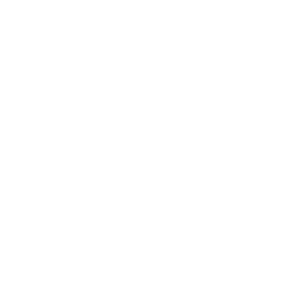 Meta Ads Management