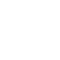 TikTok Ads Management