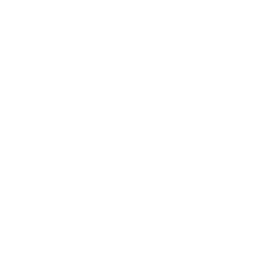 LinkedIn Ads Management