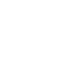 Landing Page Optimization