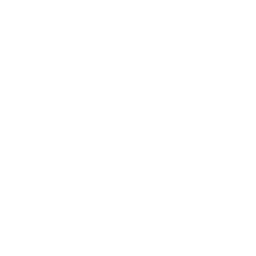 Wireframing & Prototyping