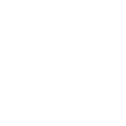 Website UI Design