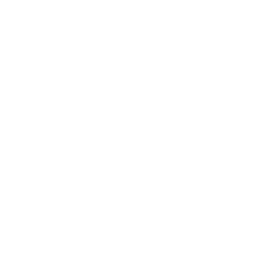 Media Production