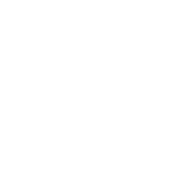 Brand Identity