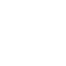 Website Development