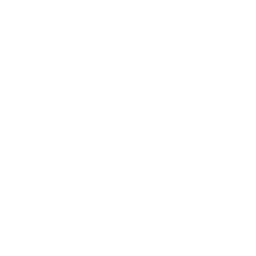 Business Systems Development