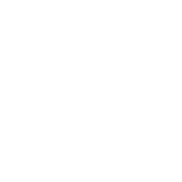 UI/UX Design