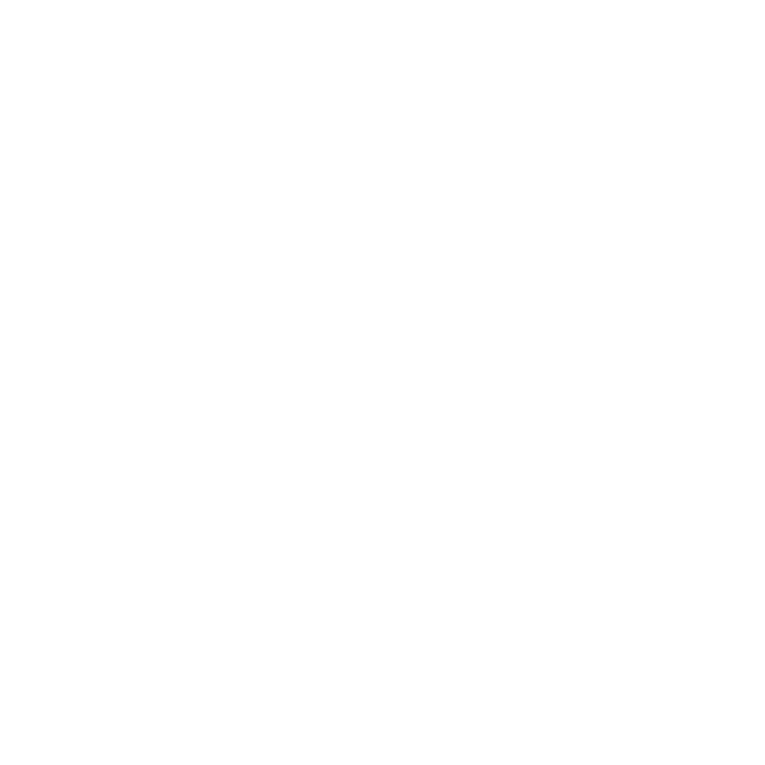 Google Ads Management