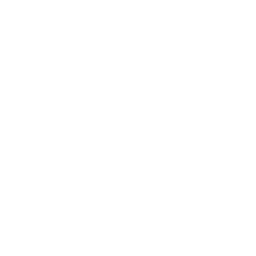 E-commerce Website Development