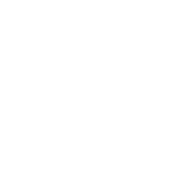 Custom Web Application Development
