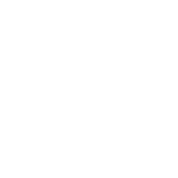 WordPress Development