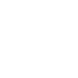 Website Maintenance & Support