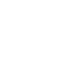 Website Speed & SEO Optimization