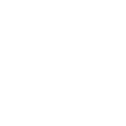Website Hosting & Deployment