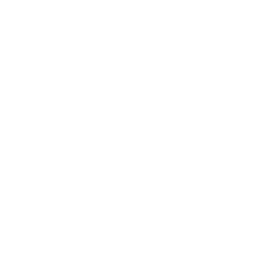 Finance & Accounting Automation