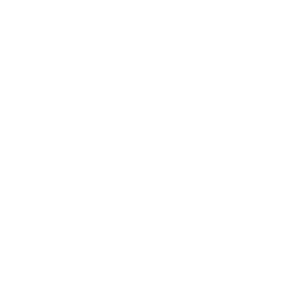 Brand Strategy Consulting