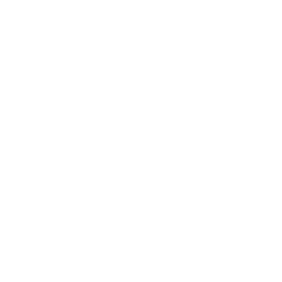Business Growth Consulting